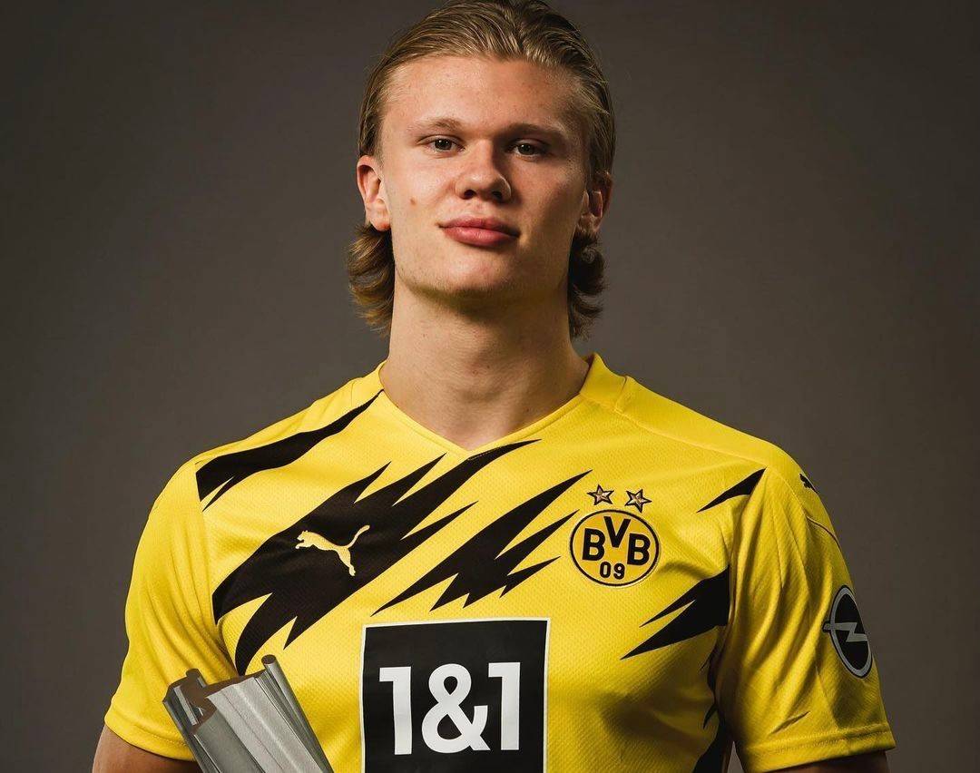 炉石传说职业选手卡组选择趋势